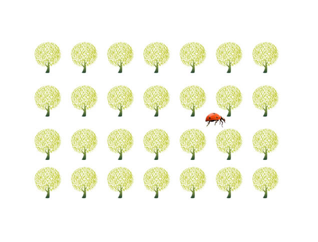 ̵Ըͯ½߻仯pptģ,ģ - վ