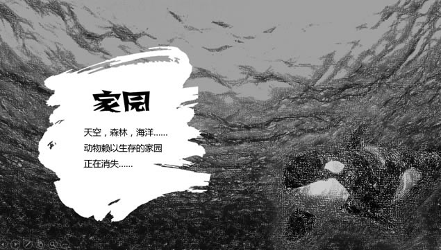 ȶ򡪡ʧļ䱣﹫涯̬pptģ,ģ - վ