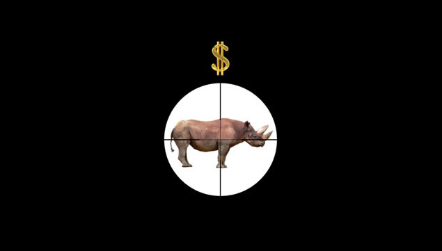 ȶ򡪡ʧļ䱣﹫涯̬pptģ,ģ - վ