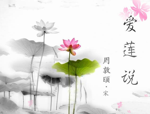 ˵й米ˮīpptģ