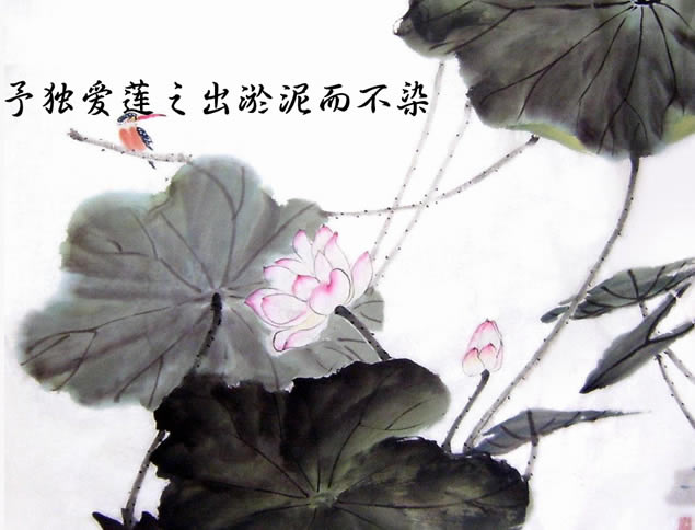 ˵й米ˮīpptģ,ģ - վ