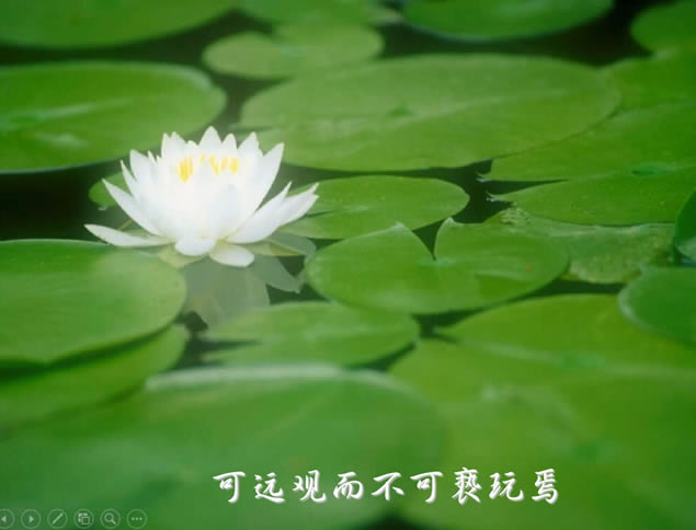 ˵й米ˮīpptģ,ģ