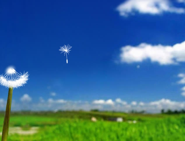 ŷ顪ѹӢ̬pptģ,ģ - վ