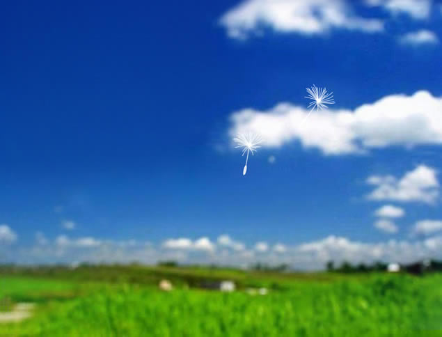 ŷ顪ѹӢ̬pptģ,ģ - վ