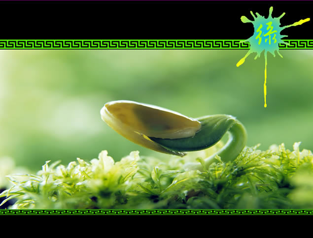 ̴̬⻷pptģ,ģ