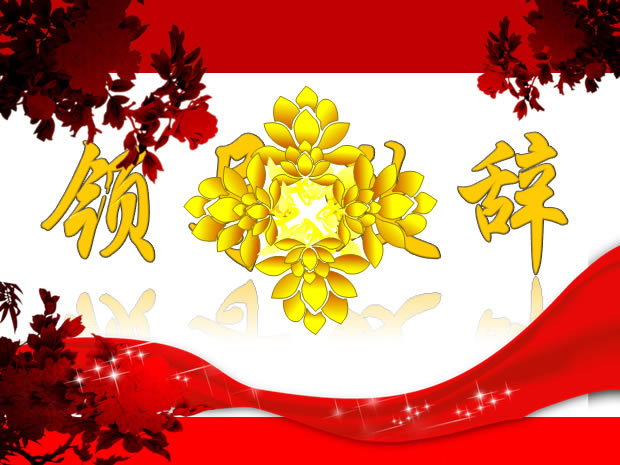 2013˾¶PPTģ2
