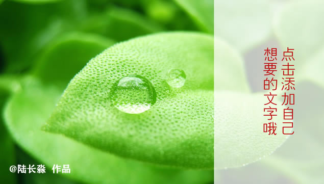 ʺϸ˽ܵſᶯƬͷppt,ģ