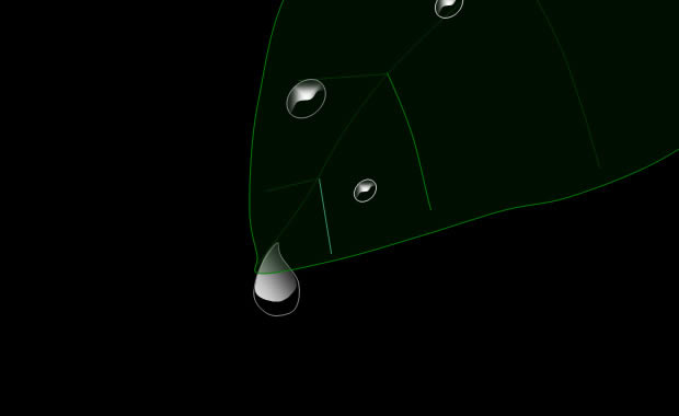 PPT̬ӰƬ,ҵģ