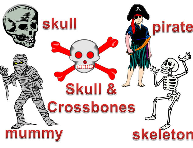 Ӣ˫ʥڶ̬pptģ