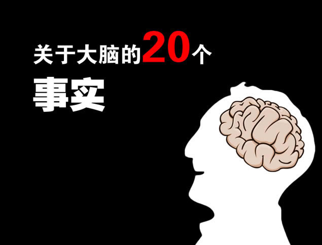 ڴԵ20ʵʺְѵpptģ