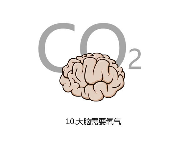 ڴԵ20ʵ˽ְѵpptģ,ģ