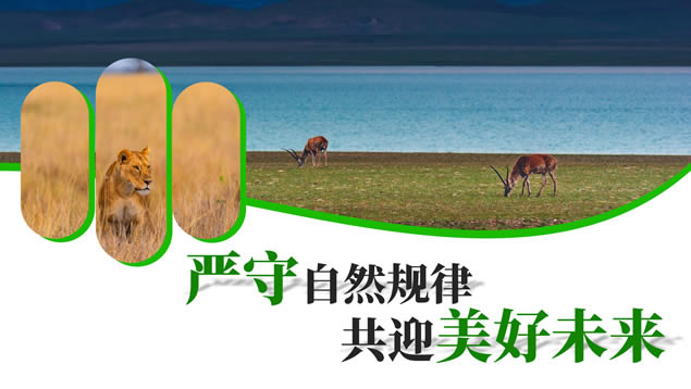 Ұ ά̬pptģ