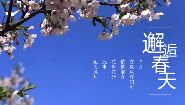 ѰҴ졪ũҵѧԺpptģ,ģ - վ