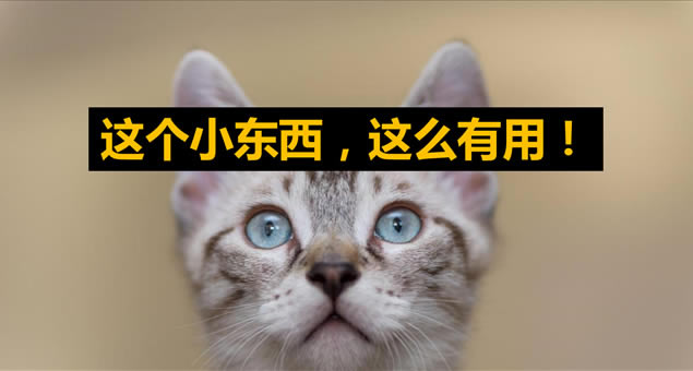 ǿ󡪡ý@ܽPPTaoҽpptģ,ģ - վ