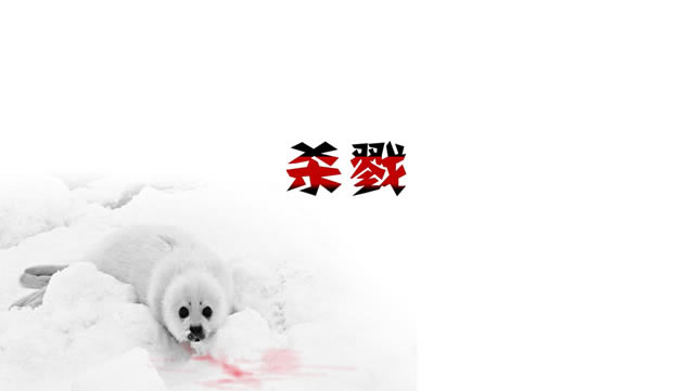 ȶ򡪡ʧļ䱣﹫涯̬pptģ,ģ - վ