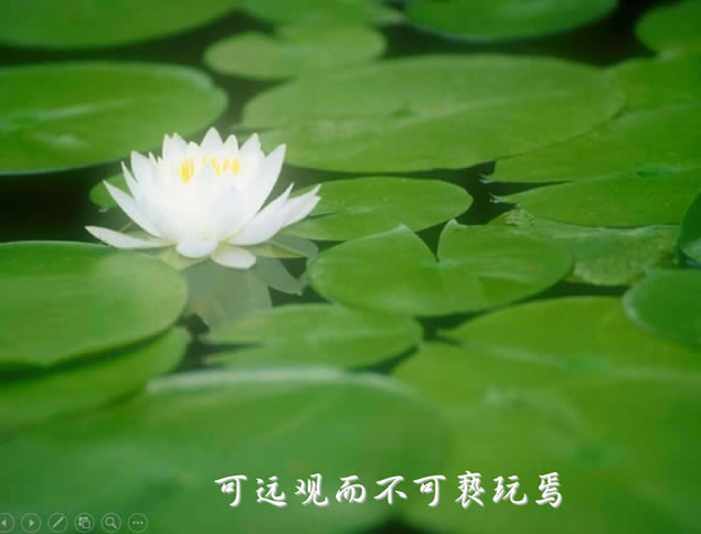 ˵й米ˮīpptģ,ģ - վ