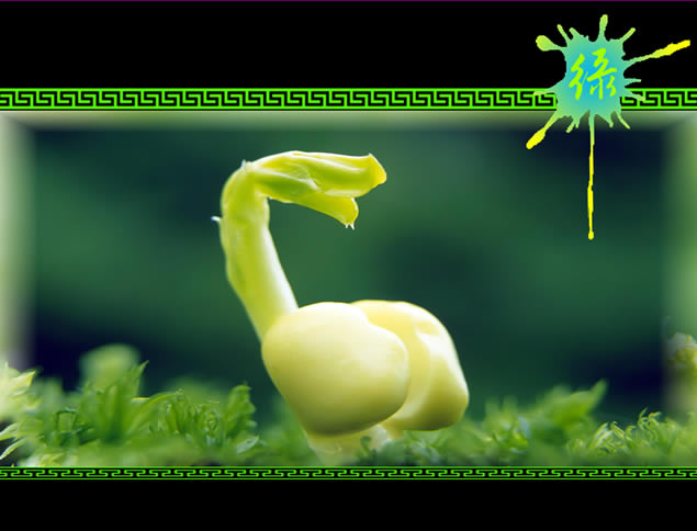 ̴̬⻷pptģ