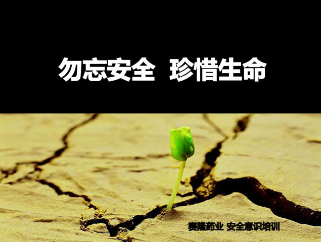 ȫ  ϧȫʶѵpptģ