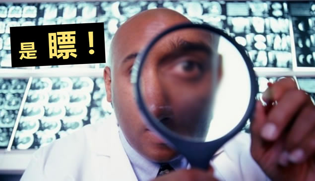 ʱӪɫ龫ͼpptģ