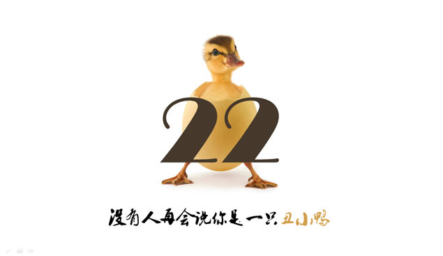 22pptģ