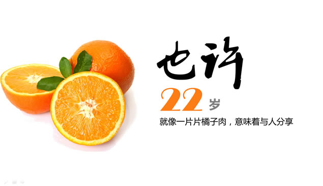 22pptģ