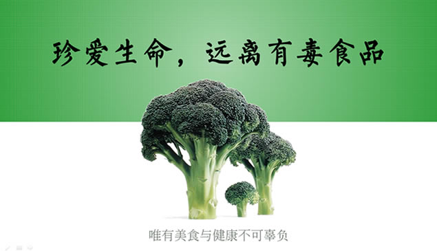 ʳƷȫpptģ