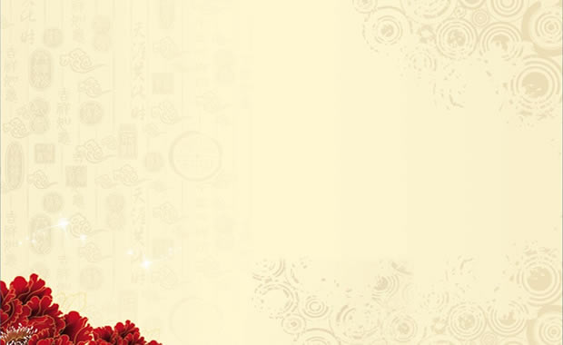 йꡪ2013pptģ,ģ