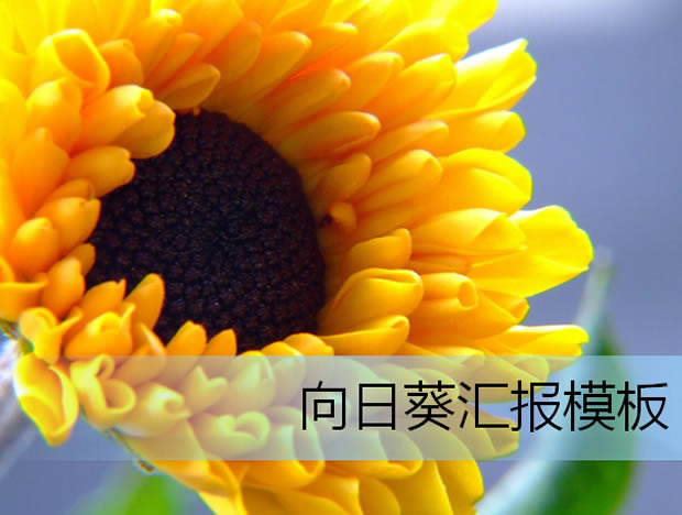 տԪظ˹㱨PPTģ1