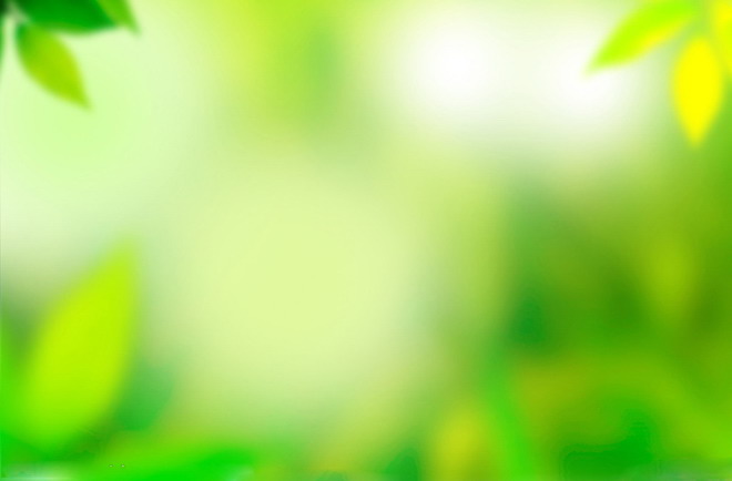 黄绿色调模糊植物PPT背景图片