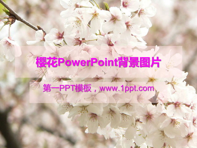 ӣPowerPointͼƬ